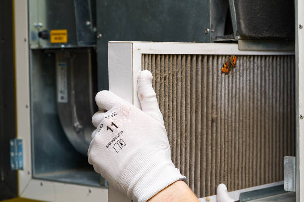 Best Affordable HVAC Duct Cleaning  in China, TX