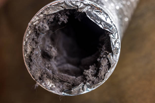 Ductwork Cleaning Services in China, TX