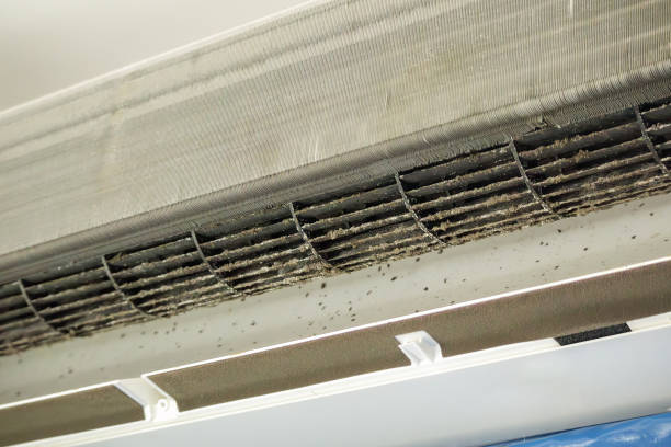 Best Commercial Air Duct Cleaning  in China, TX